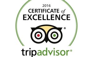 tripadvisor