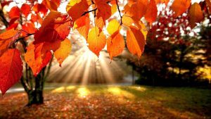Faith retreats for autumn