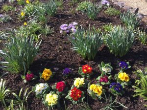 Blessing at Garden of Remembrance March 2018