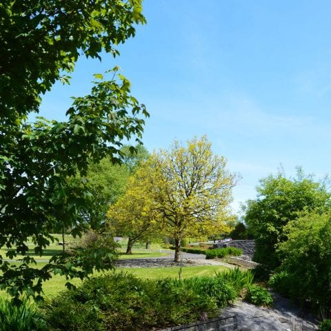 Knock Shrine grounds